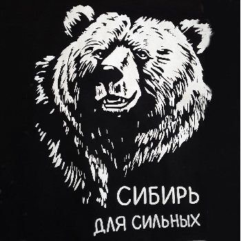 Футболка Томск Медведь "Сибирь для сильных" (В)