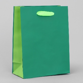 Пакет подарочный «Зеленый-салатовый», 12 х 15 х 5.5 см