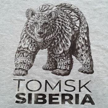 Футболка Томск "Медведь идет" серая