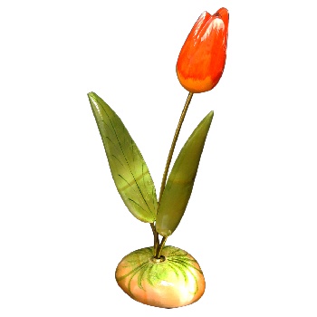 Цветок Тюльпан селенит, малый 