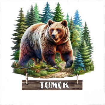 Магнит Томск медведь в лесу, 863