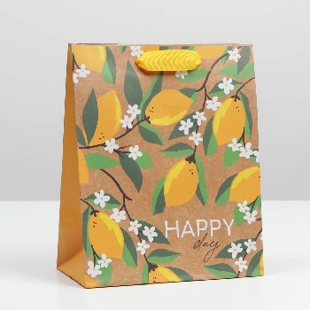 Пакет крафтовый «Happy day», 18 × 23 × 8 см