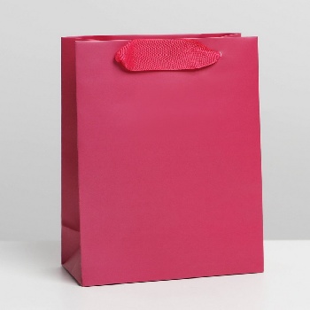 Пакет «Фуксия», 12 × 15 × 5,5 см